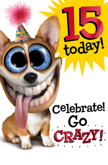 Birthday Young Adult 15th Boy Greeting Card From Twisted Whiskers Humour 347859 G647