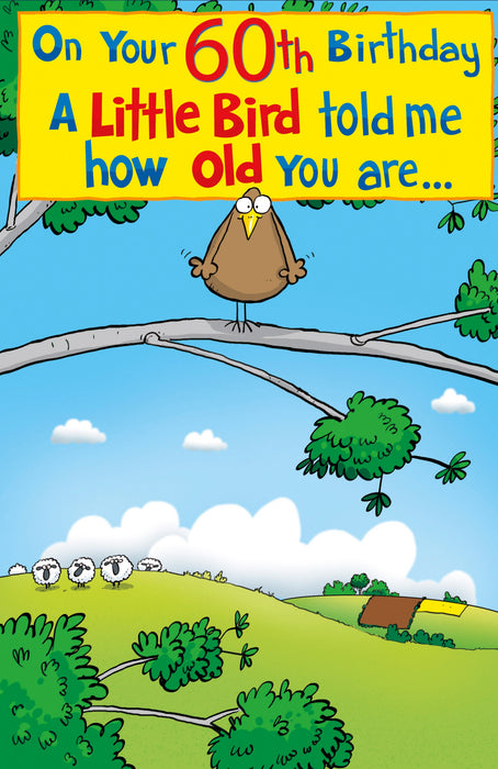 Birthday 60th Greeting Card From Giggles Humour 632284 H15118