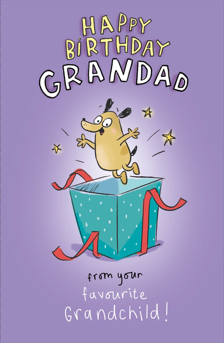 Birthday Grandad Greeting Card From Hanson Core Line Humour 691767 F647