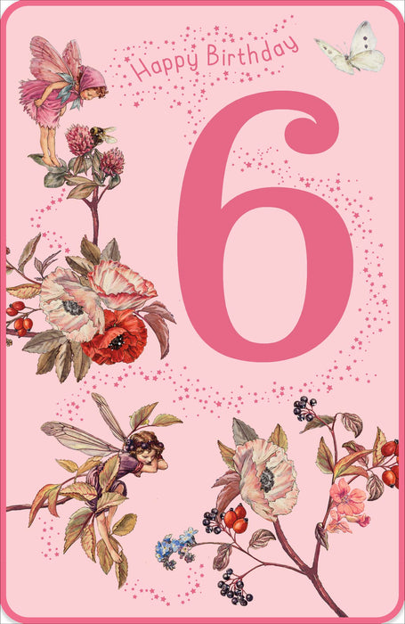 Birthday 6th Girl Greeting Card From Flower Fairies Traditional 762114 G861